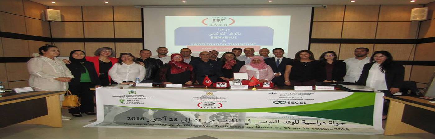 Voyage d'étude au Maroc OEP Béja TUNLAIT 